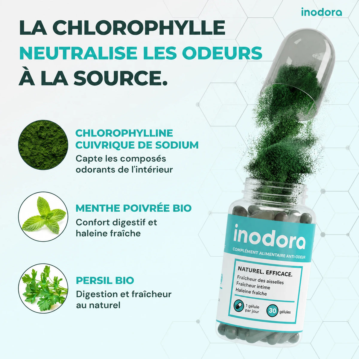 Inodora — visuel 4